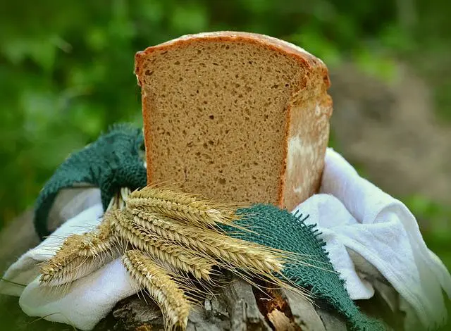 Recetas de Auténtico pan de maíz mexicano - Recetas 2023
